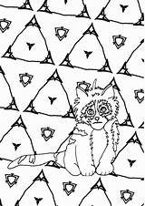 Coloring Printable Cat Pages Look Kids Cute Scruffy Kitten Him Little Just sketch template
