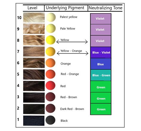 level  hair color chart goimages park