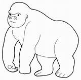 Gorilla Coloring Pages Animals Kids Cute Color Getcolorings Printable Drawing Giant Getdrawings sketch template