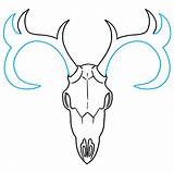 Deer Skull Draw Step Drawing Easy sketch template