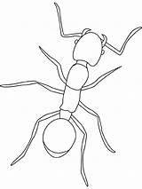 Fourmi Dessin Ant Ants Hormigas Coloriage Formica Insectos Cigale Robaki Insect Kolorowanki Insects Fourmis Owady Colorier Insekten Dzieci U0026 Crafts sketch template