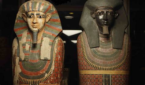 Egyptian Mummies Shared Mommy Dna Analysis Shows The Intelligencer