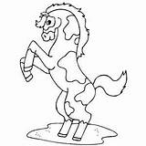 Pinto Horse Coloring Pages Getcolorings sketch template