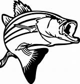 Clipart Fish Bass Clip Silhouette Fishing Outline Stencil Choose Board sketch template