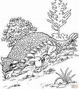 Ankylosaurus Colorare Printable Ausmalbilder Supercoloring Anchilosauro Disegni Disegnare sketch template