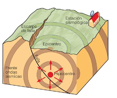 bg biomed la tectonica de placas