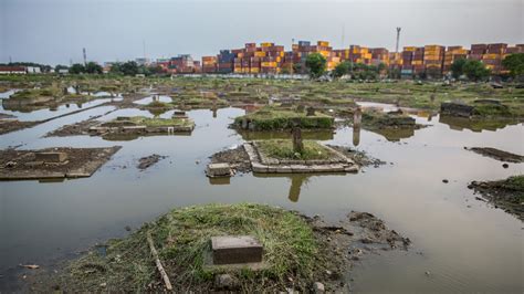 coastal cities   sinking grist