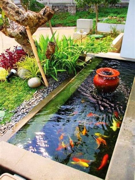 taman minimalis  kolam ikan  belakang rumah vuon nho koi minis