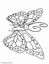 Coloring Butterfly Pages Proboscis Long Printable Insect Butterflies Ads Google sketch template