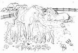 Pferde Ausmalbilder Horse Coloring Pages Schleich Kinder Schöne Horses Unicorn Malvorlagen Tiere Für Template Printables sketch template