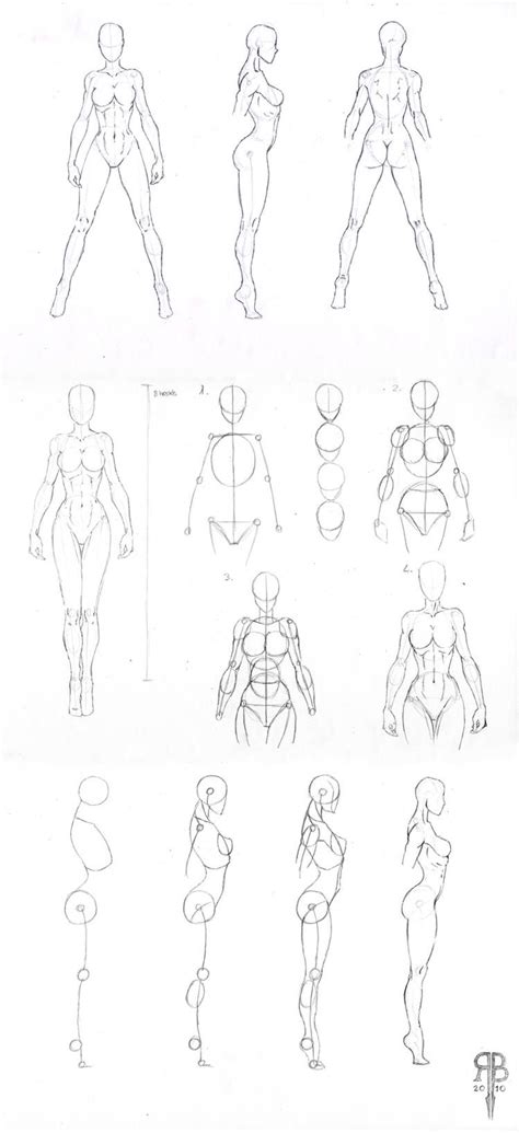 Drawing Female Body Human Anatomy Drawing Body Reference Drawing Art