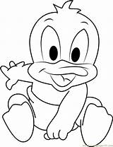 Daffy Baby Coloring Pages Looney Tunes Duck Color Drawing Spongebob Coloringpages101 Getdrawings Tiger Unicorn Printable Getcolorings Kids Online sketch template