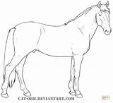 Paard Paarden Horse Caballo Pferde Ausmalbilder Andalusier Andaluz Andalusian Tekenen Warmblood sketch template