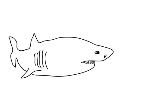 black  white drawing   shark