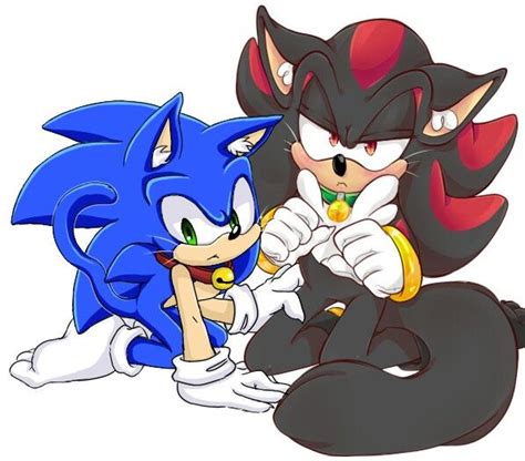 Sonic And Shadow Cats Sonic Sonic And Shadow Sonic Fan