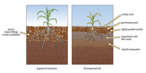 ch  soil degradation erosion compaction  contamination sare