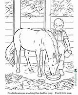 Horses Horse Coloring Color Pages Hidden Kids Printable Sheets Clipart Boy Print Worksheet Below Click Library Popular sketch template