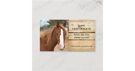 horse riding lessons gift certificate template zazzleconz