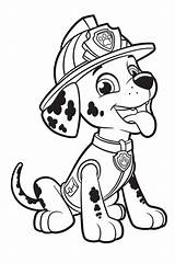 Patrol Paw Marshall Coloring Pages sketch template