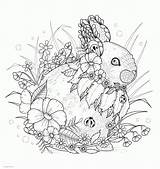 Coloring Pages Animal Adult Adults Rabbit Printable Colouring Animals Book Print Sheets Look Other sketch template