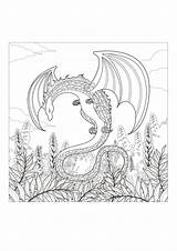 Dragons sketch template