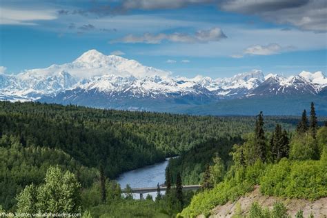 interesting facts  denali  fun facts