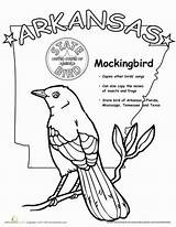 Arkansas Coloring State Bird Worksheets Designlooter Worksheet Grade 95kb 389px sketch template
