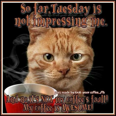 Good Morning😁 Have A Terrific Tuesday☕️☀️♥️ Coffee Humor Morning