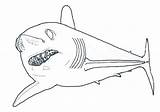 Shark Mako Pages Coloring Template sketch template