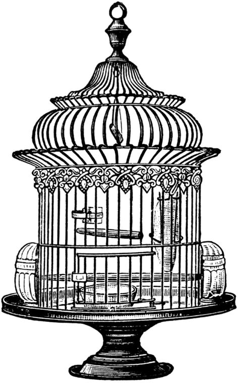 free vintage bird cage clip art graphics and printables