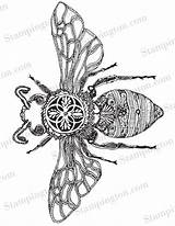 Bee Coloring Pages Tattoo Bumble Beautiful Studio Stampington sketch template