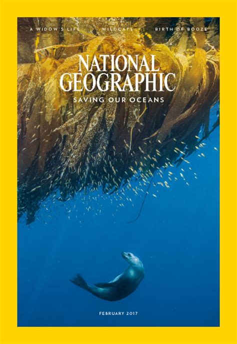 national geographic magazine discountmagscom