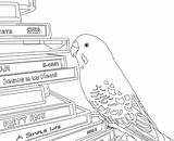 Coloring Pages Parakeet Clarabelle Prefer Them If Weebly sketch template