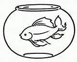 Coloring Printable Fish Bowl Goldfish Pages Popular sketch template