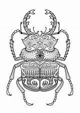 Coloring Zentangle Beetle Pages Adult sketch template