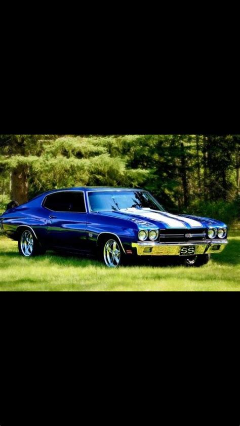 3866 best images about muscle cars on pinterest pontiac gto plymouth and trans am