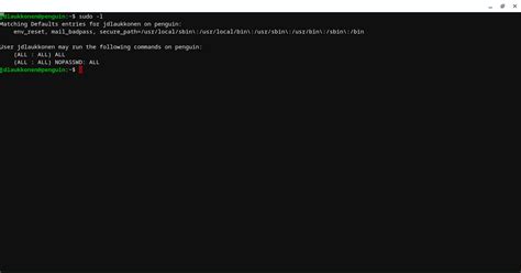 How To Use The Sudo Command In Linux