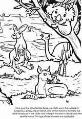 Coloring Outback Australian Animals Pages Animal Kids Sheets Colouring Color Australia Drawings Activities Template Designlooter Books Activity Crafts Children Choose sketch template