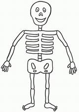 Body Human Coloring Pages Kids Printable Getcolorings Color sketch template