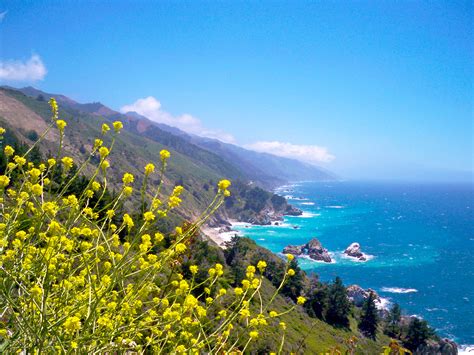 filebig sur coast californiajpg wikipedia