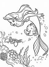 Sirenita Colorear Sirene Mermaid sketch template