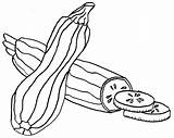 Zucchini Abobrinha Vegetable Cortada Tudodesenhos sketch template