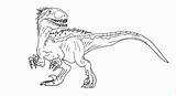 Coloring Rex Indominus Pages Popular sketch template
