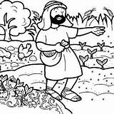 Ruler Parable Sower Parables Preschool Colorluna sketch template