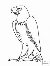 Eagle Philippine Coloring Getdrawings Drawing sketch template