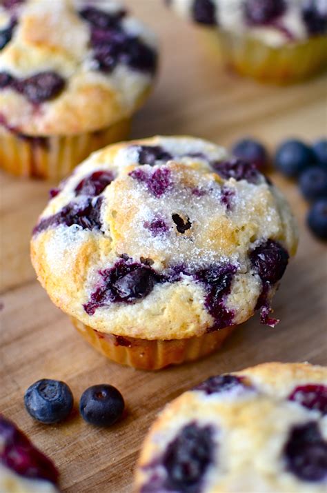 yammies noshery   blueberry muffins