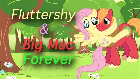 Fluttershy And Big Macintosh Forever Youtube