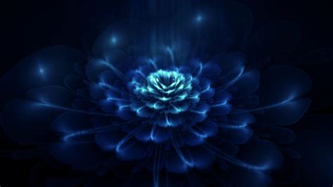 dark flower wallpapers wallpaper cave