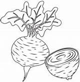 Beetroot Beets sketch template