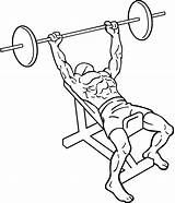 Press Bench Incline Barbell Exercises sketch template